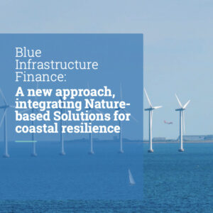 Blue infra finance