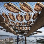 Looc boats and dried fish, Philippines. Fish Forever. Image by Tom Epperson, Rare