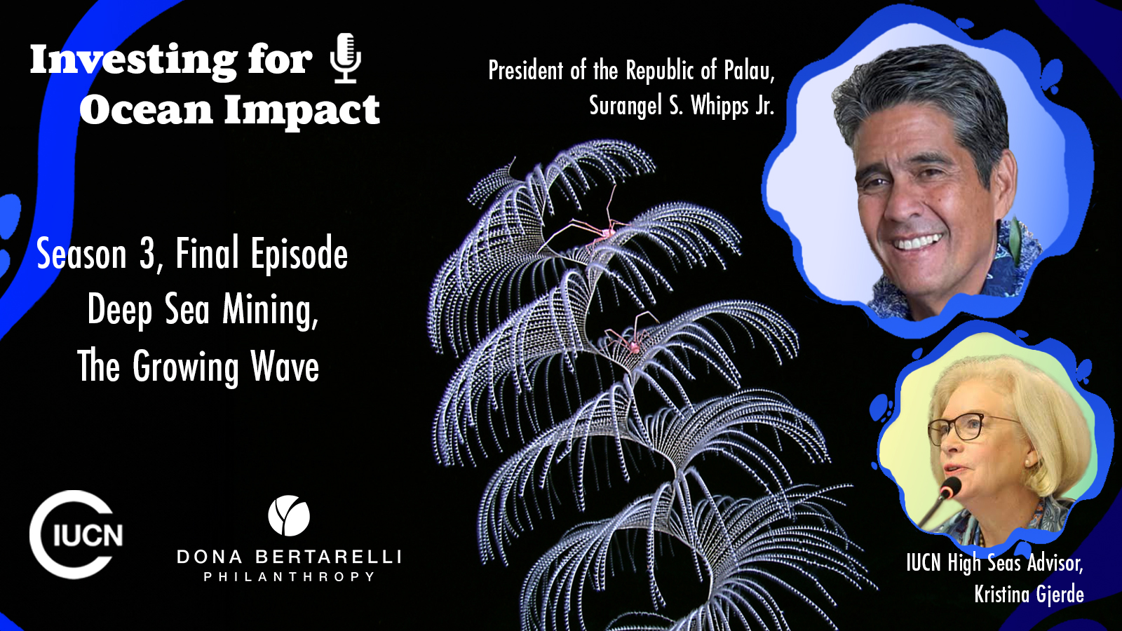 President Surangel Whipps Jr., Head of State of the Republic of Palau and Kristina Gjerde, IUCN High Seas Senior Advisor, speak to us in the last Episode of Investing for Ocean Impact, Season 3